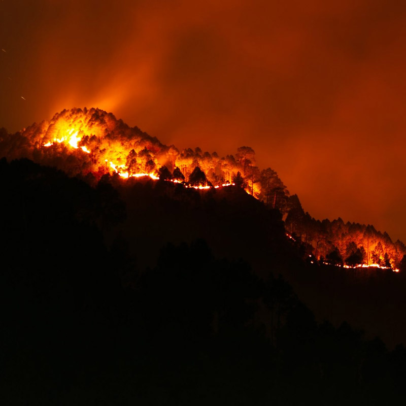 Protect Your Personal Space During Wildfire Smoke and Air Pollution Season